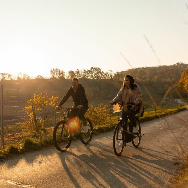 Herbstlicher Stimmung in den Weinbergen mit 2 Radfahrern